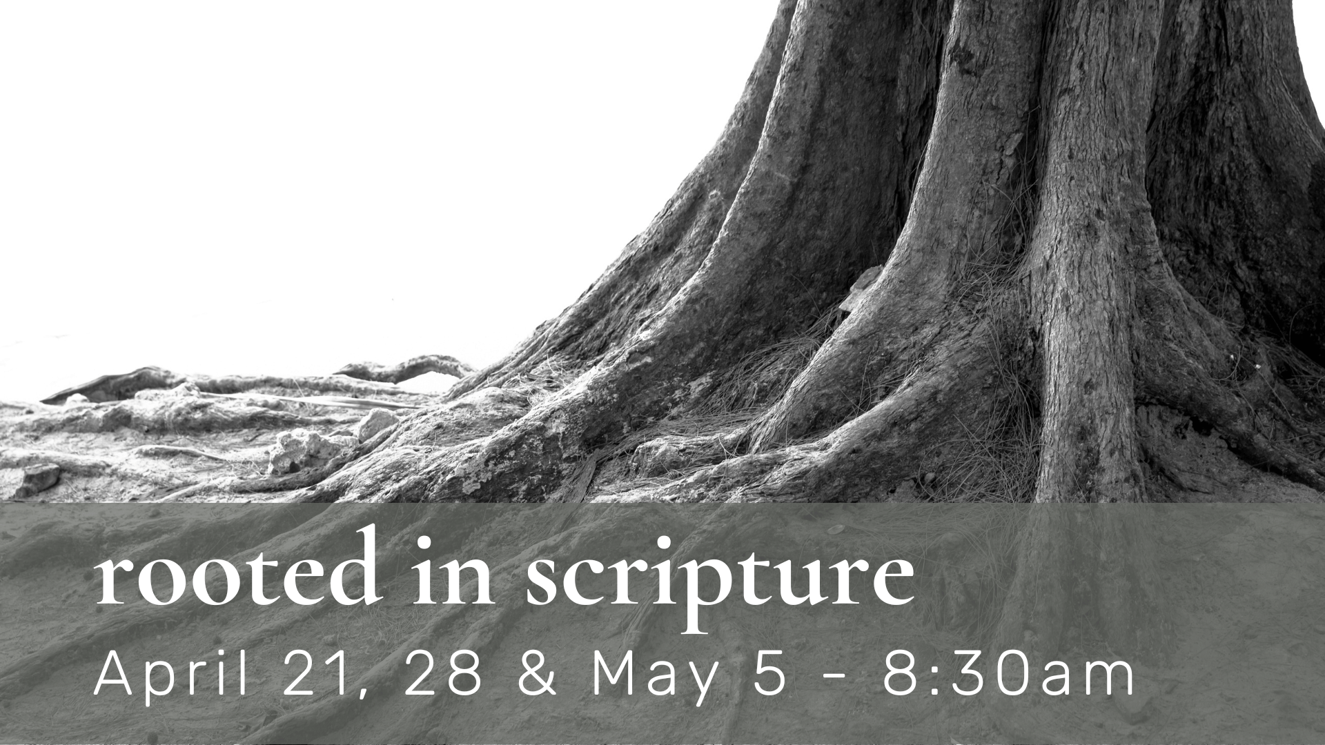 Rooted in Scripture