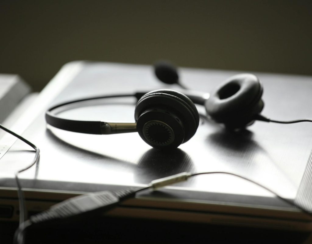 pexels-axelbreuer-1100538